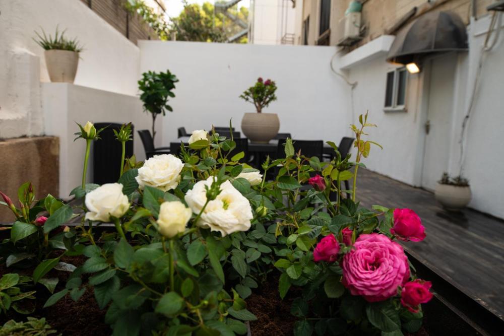 텔아비브 Seaviewtlv 아파트 외부 사진